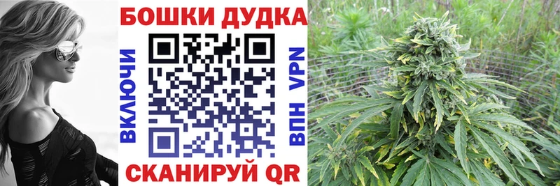 Купить наркотики Сосногорск Альфа ПВП  omg ТОР  Псилоцибиновые грибы  Экстази  Меф мяу мяу  Гашиш  Кокаин 