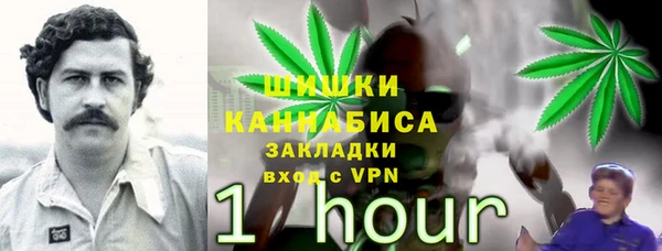 кокс Богородицк