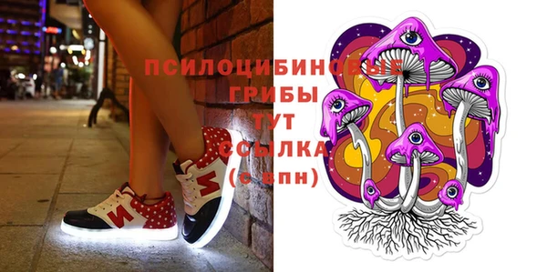 дмт Няндома