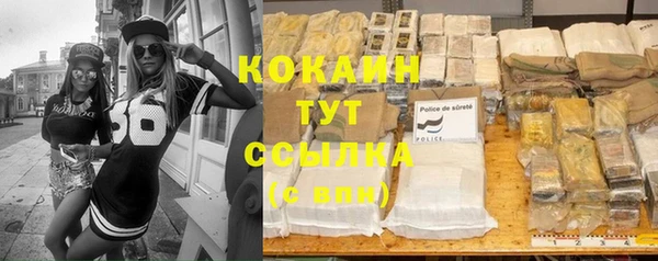 кокс Богородицк