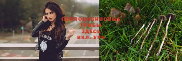 кокс Богородицк